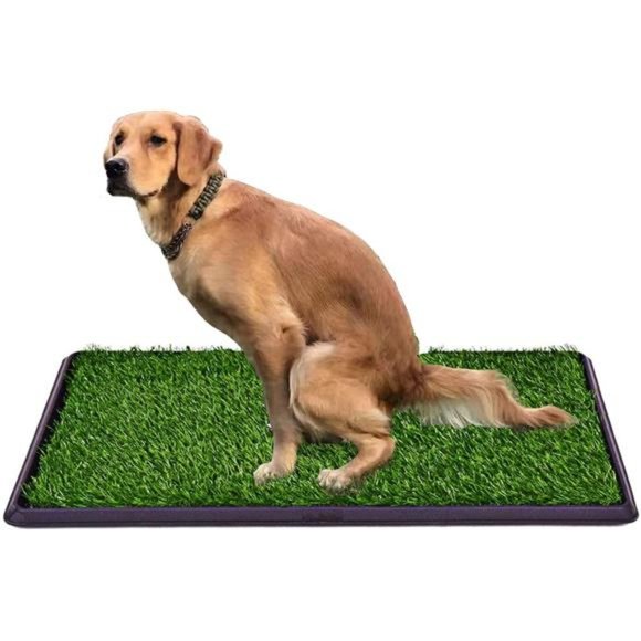 Pet Potty Pad Artificial Grass Trainer(30 x 20 Grass with Tray)